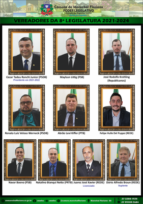 8ª LEGISLATURA 2021-2024.png