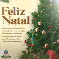 A Câmara de Marechal Floriano deseja a todos um Feliz Natal e um próspero Ano Novo!