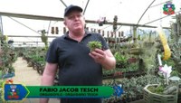 Especial Orquídeas: Entrevista com Fabio Jacob Tesch