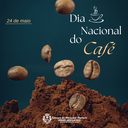 Dia Nacional do café: Cafeicultura em Marechal Floriano abrange mais de 600 famílias 