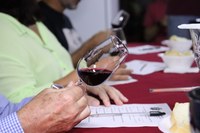 Marechal Floriano é destaque com 1° concurso de vinhos do município