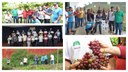 Semana da Uva surpreende produtores de Viticultura no Município